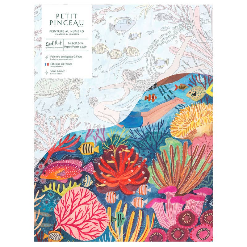 Number Painting Kit - Coral Reef