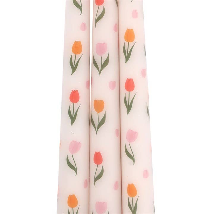 Tulipan Lys