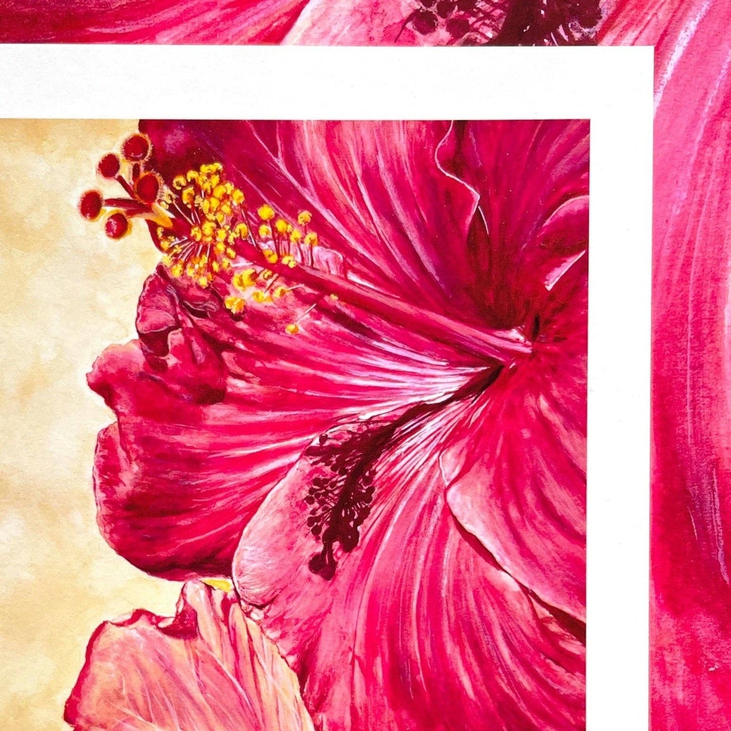 Hibiscus - Kunsttrykk - A3