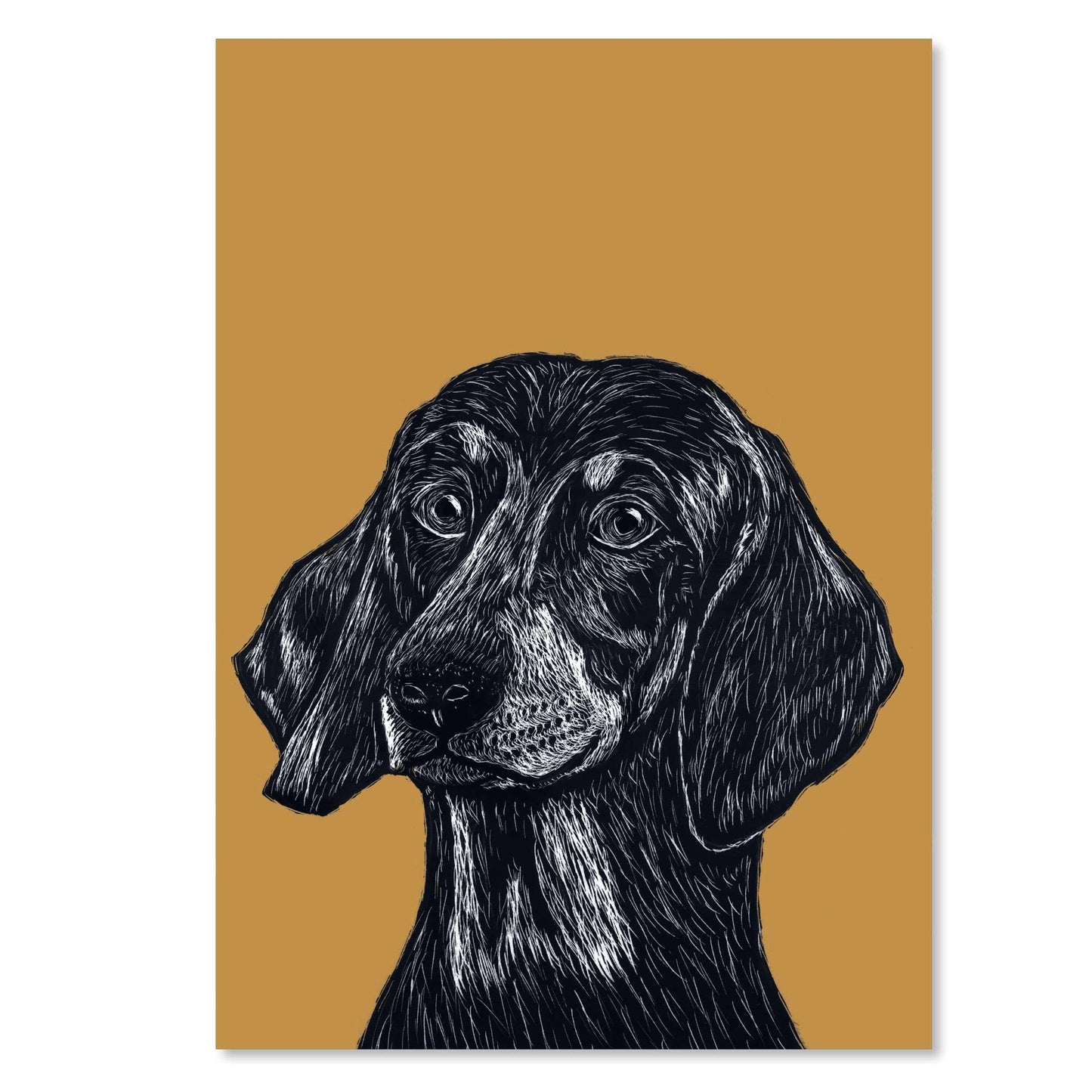 Dachshund - Kunsttrykk - A4