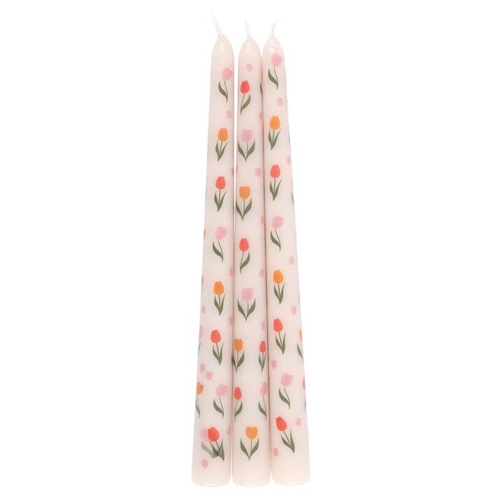 Tulipan Lys