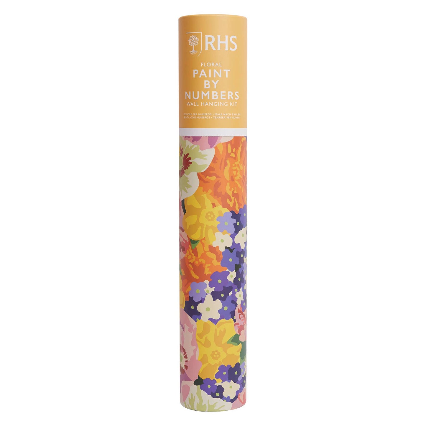 Paint By Numbers Hanging Kit - 400x500 mm