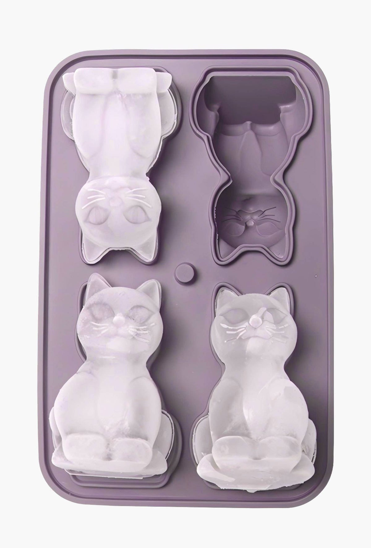 Isbitform – 3D Katter