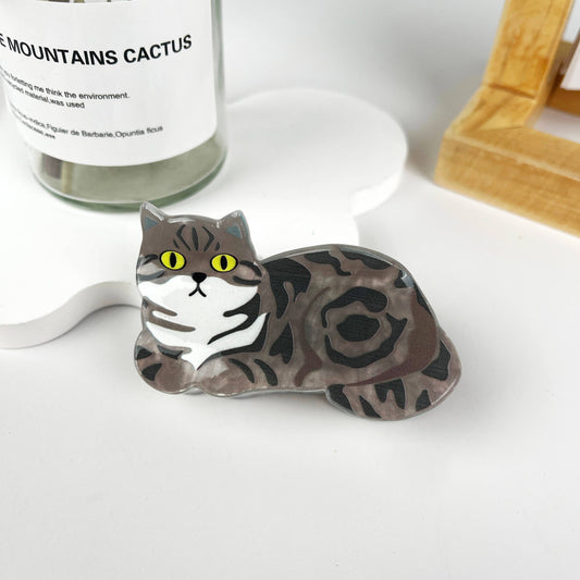 Katt Hårklype