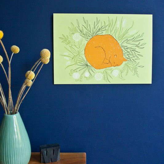 Oransje Katt - Kunsttrykk - A4