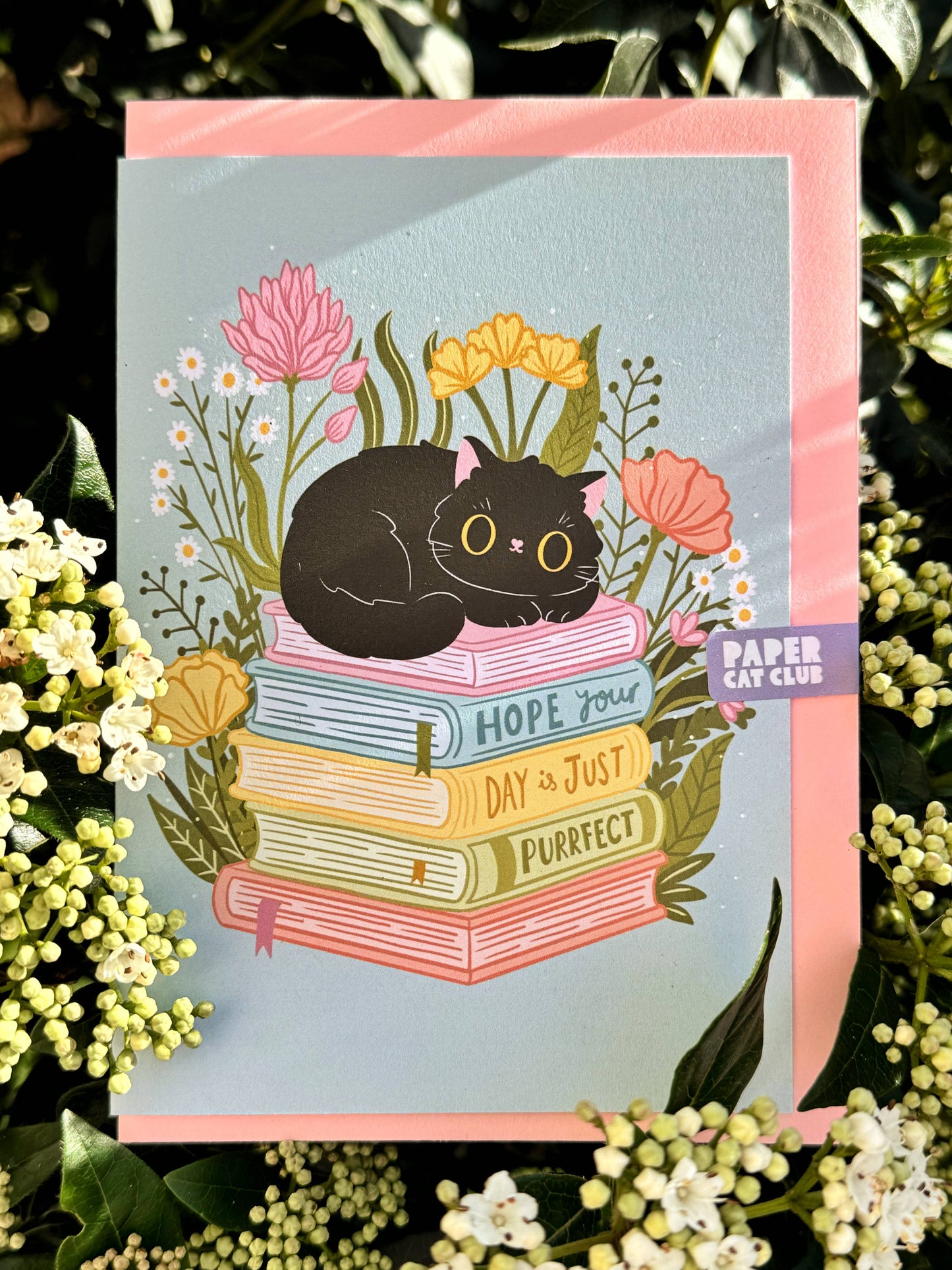 "Hope your day is just Purrfect" - A6 - Kort