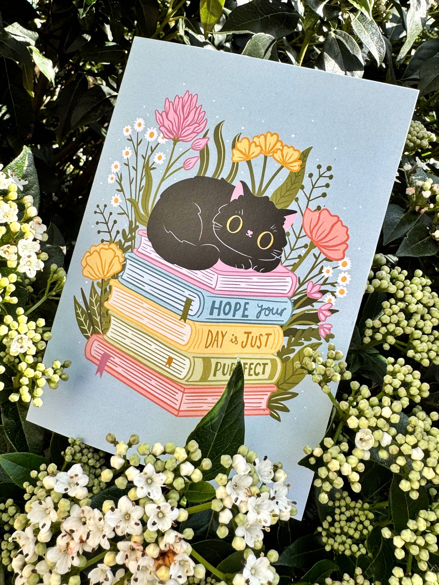 "Hope your day is just Purrfect" - A6 - Kort