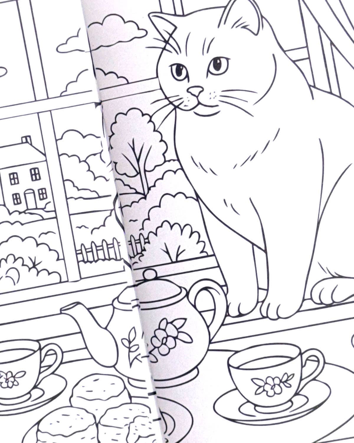 World of Cats - Liten Fargeleggingsbok
