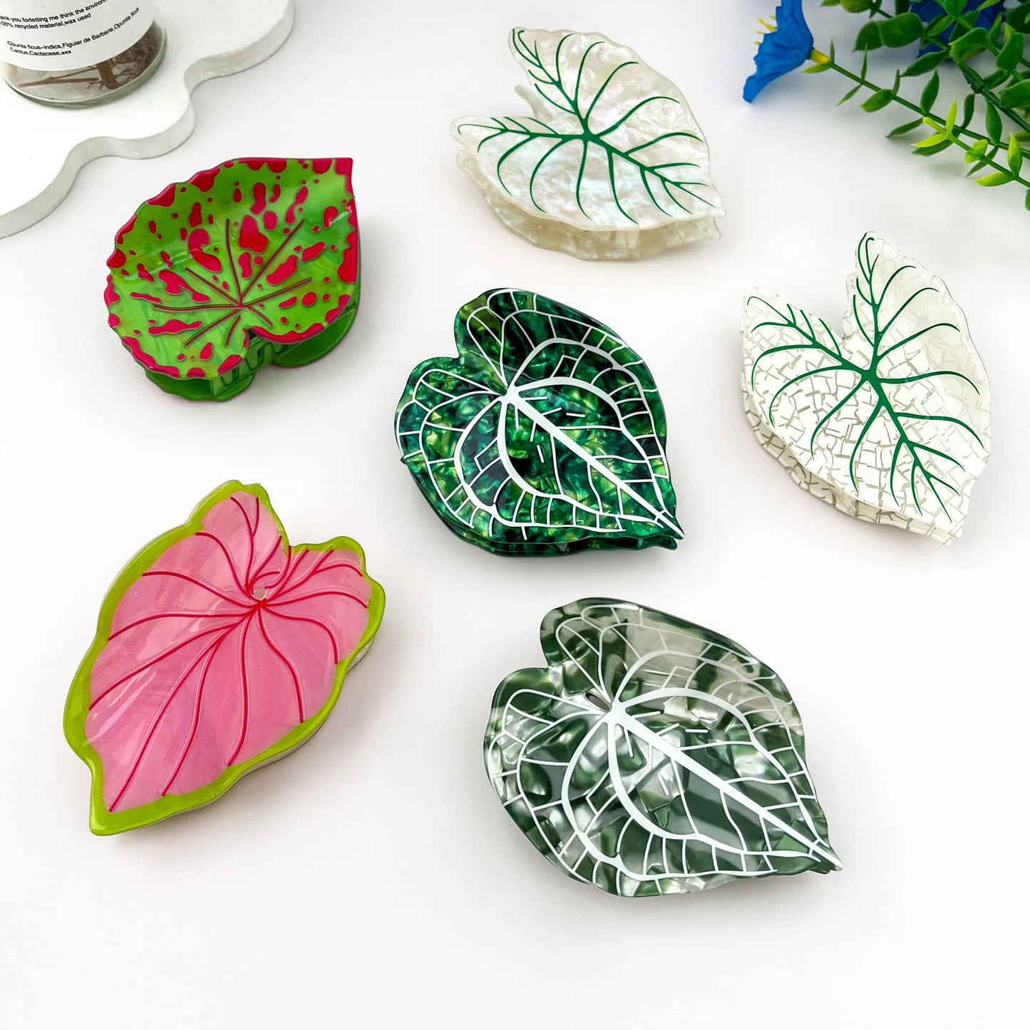 Monstera Hårklype