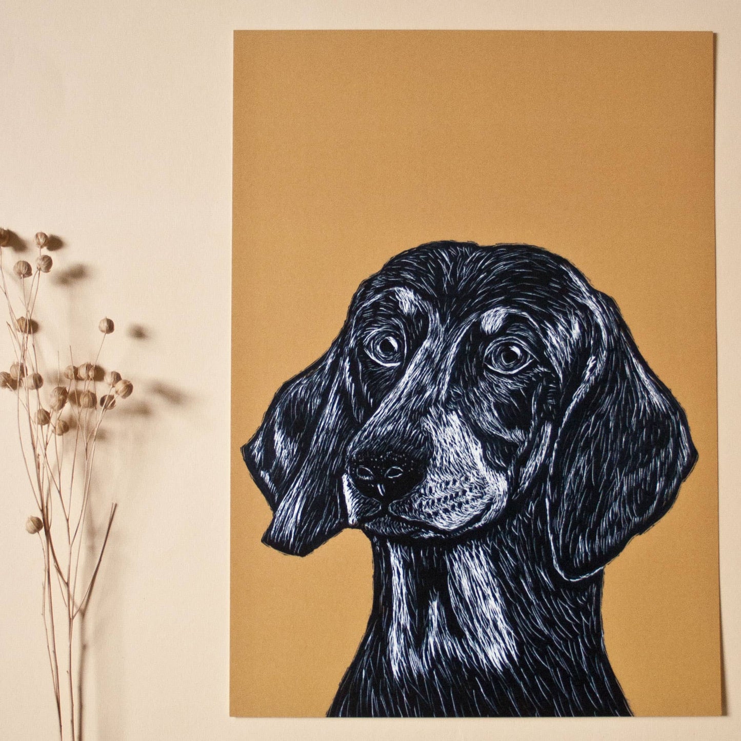 Dachshund - Kunsttrykk - A4