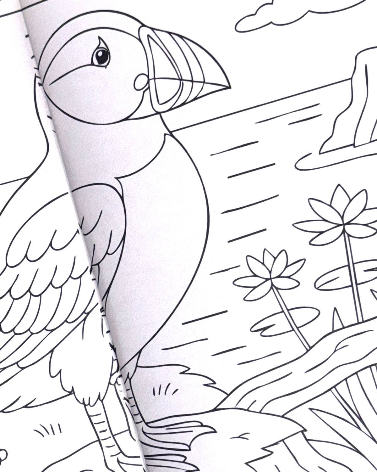 World of Birds - Liten Fargeleggingsbok