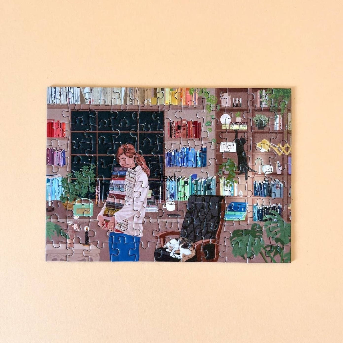 Reading Room - Puslespill - 99 Briker