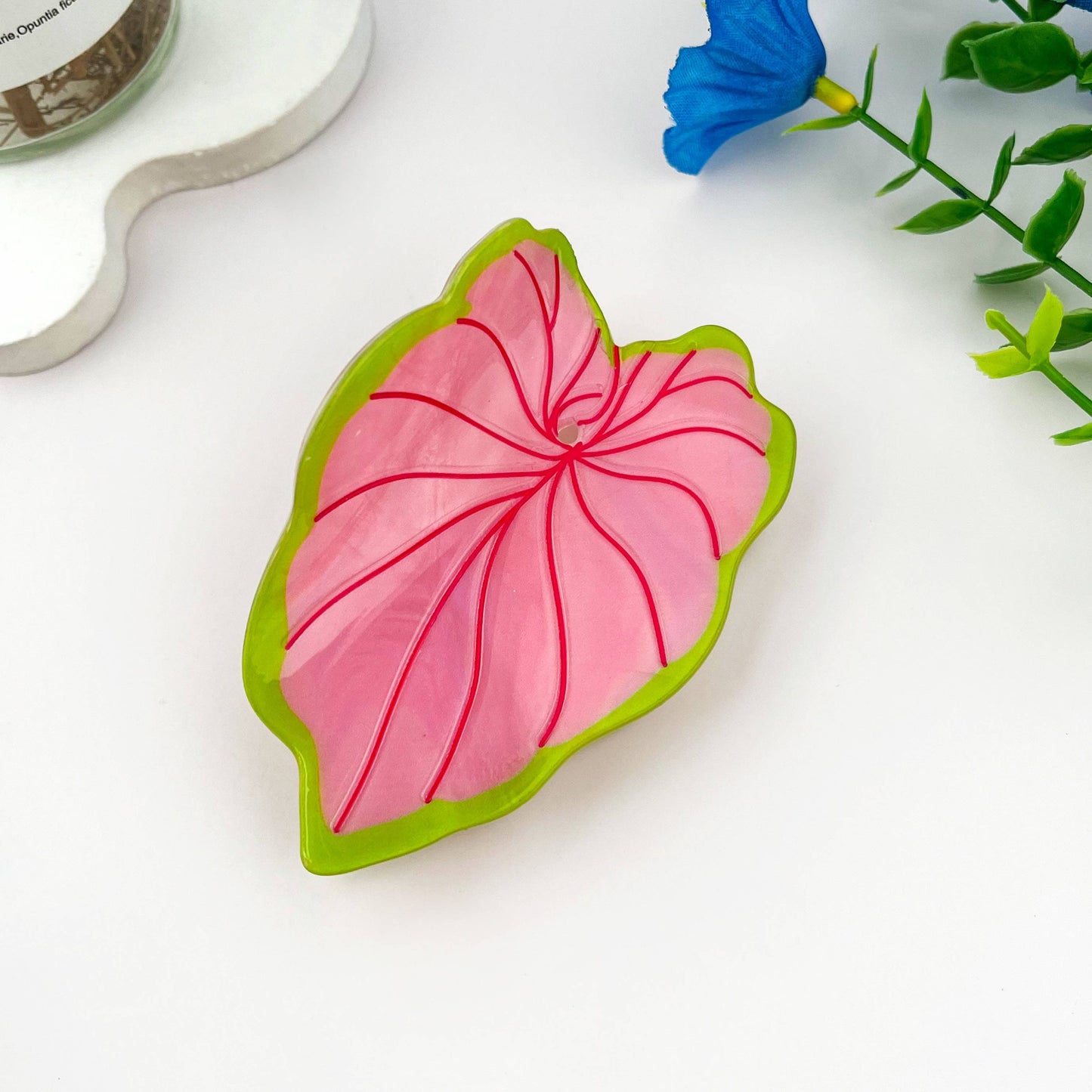 Monstera Hårklype