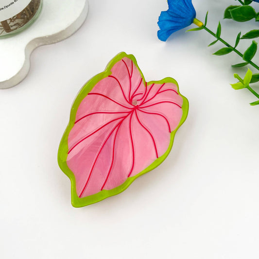Monstera Hårklype