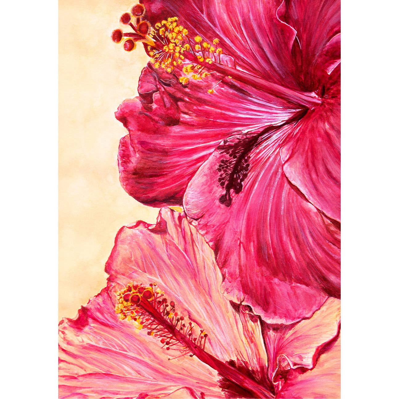 Hibiscus - Kunsttrykk - A3
