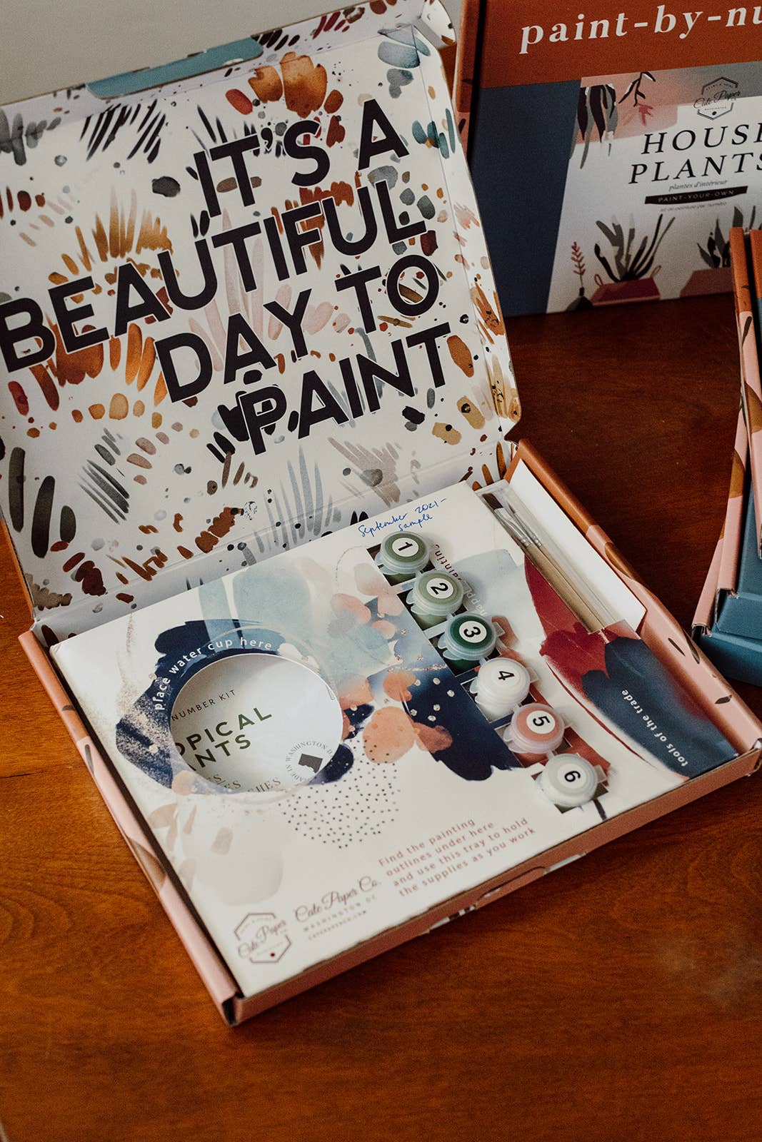 Paint-By-Numbers Sett - Planter