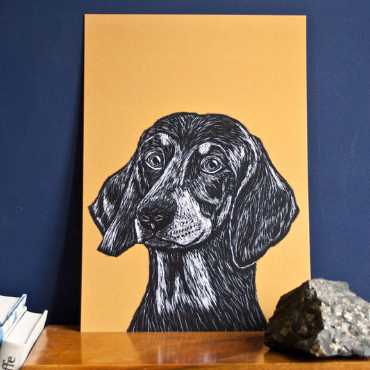 Dachshund - Kunsttrykk - A4