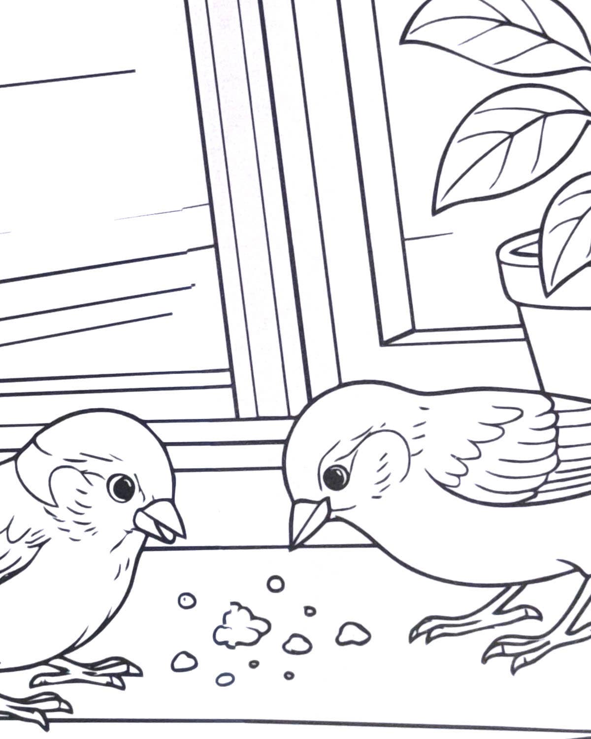World of Birds - Liten Fargeleggingsbok
